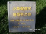 smiling-grass